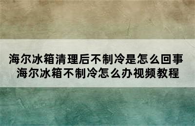 海尔冰箱清理后不制冷是怎么回事 海尔冰箱不制冷怎么办视频教程